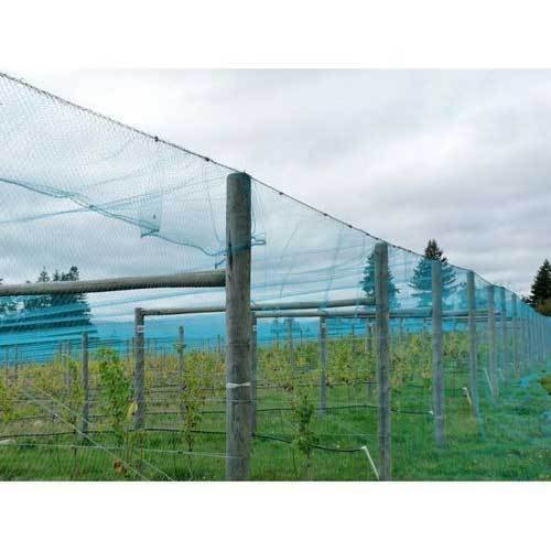 Garden bird netting