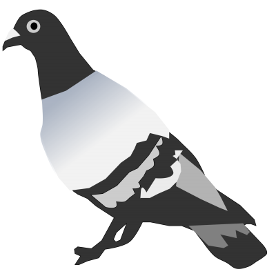 Pigeon-and-Bird-control